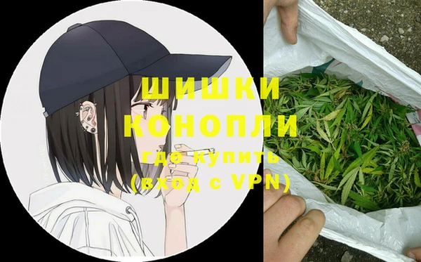 ГАЛЛЮЦИНОГЕННЫЕ ГРИБЫ Абаза