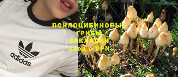 spice Абдулино