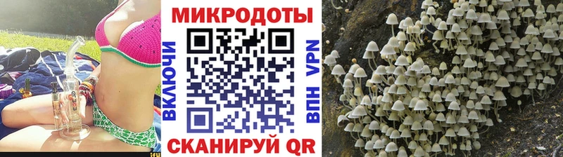 Галлюциногенные грибы MAGIC MUSHROOMS  дарнет шоп  Рославль 